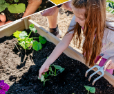 Learning Garden