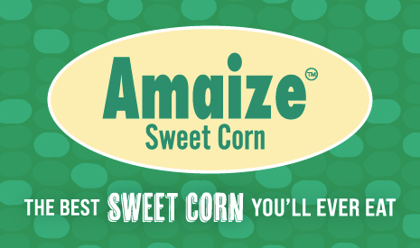 Amaize Corn