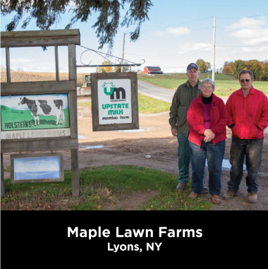 Maple Lawn Farms Lyons, NY